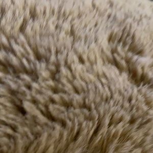 Meet your Posher, Alfredo